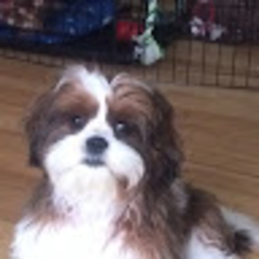 Meet your Posher, Rebecca